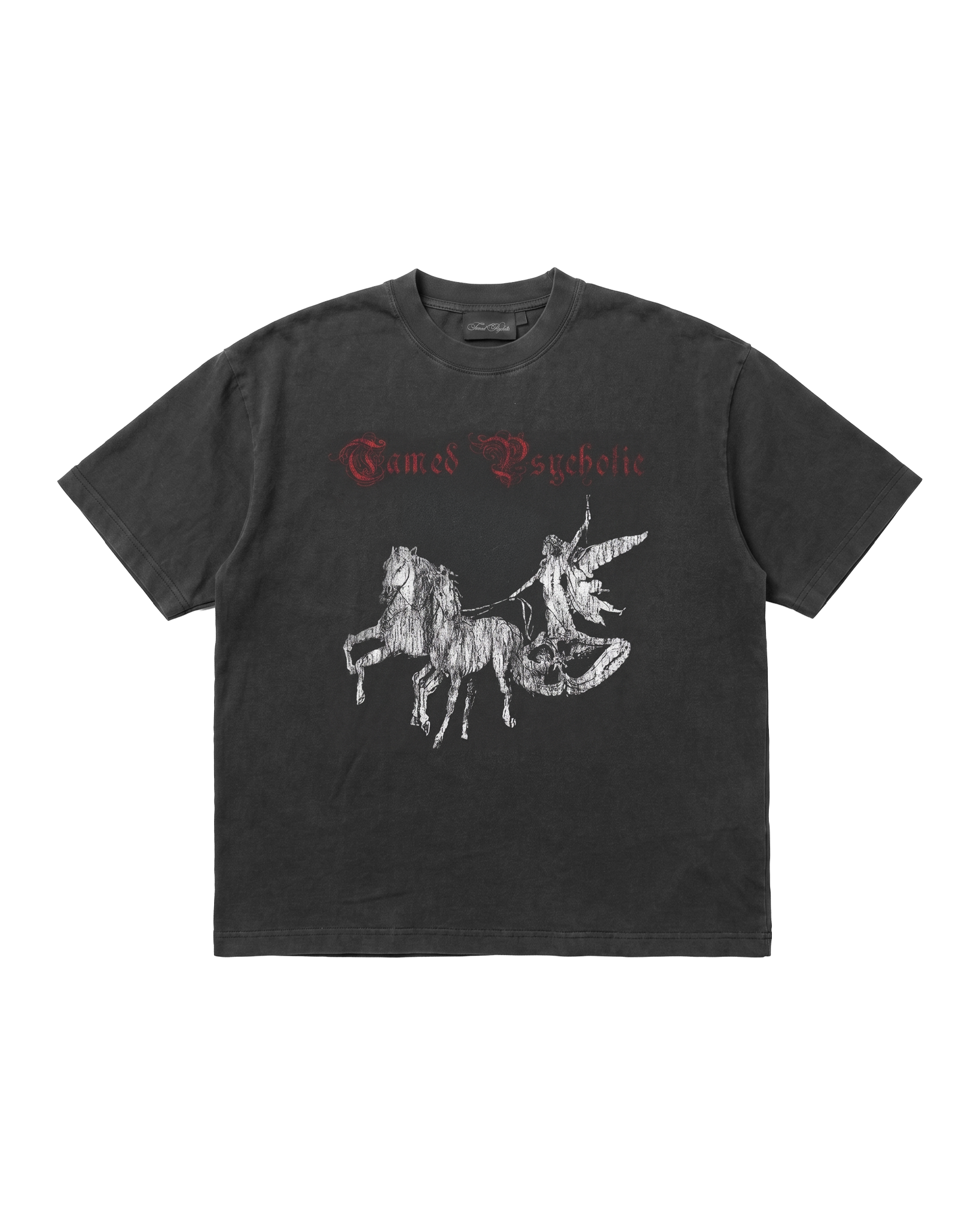 HEAVEN'S CHARIOT T