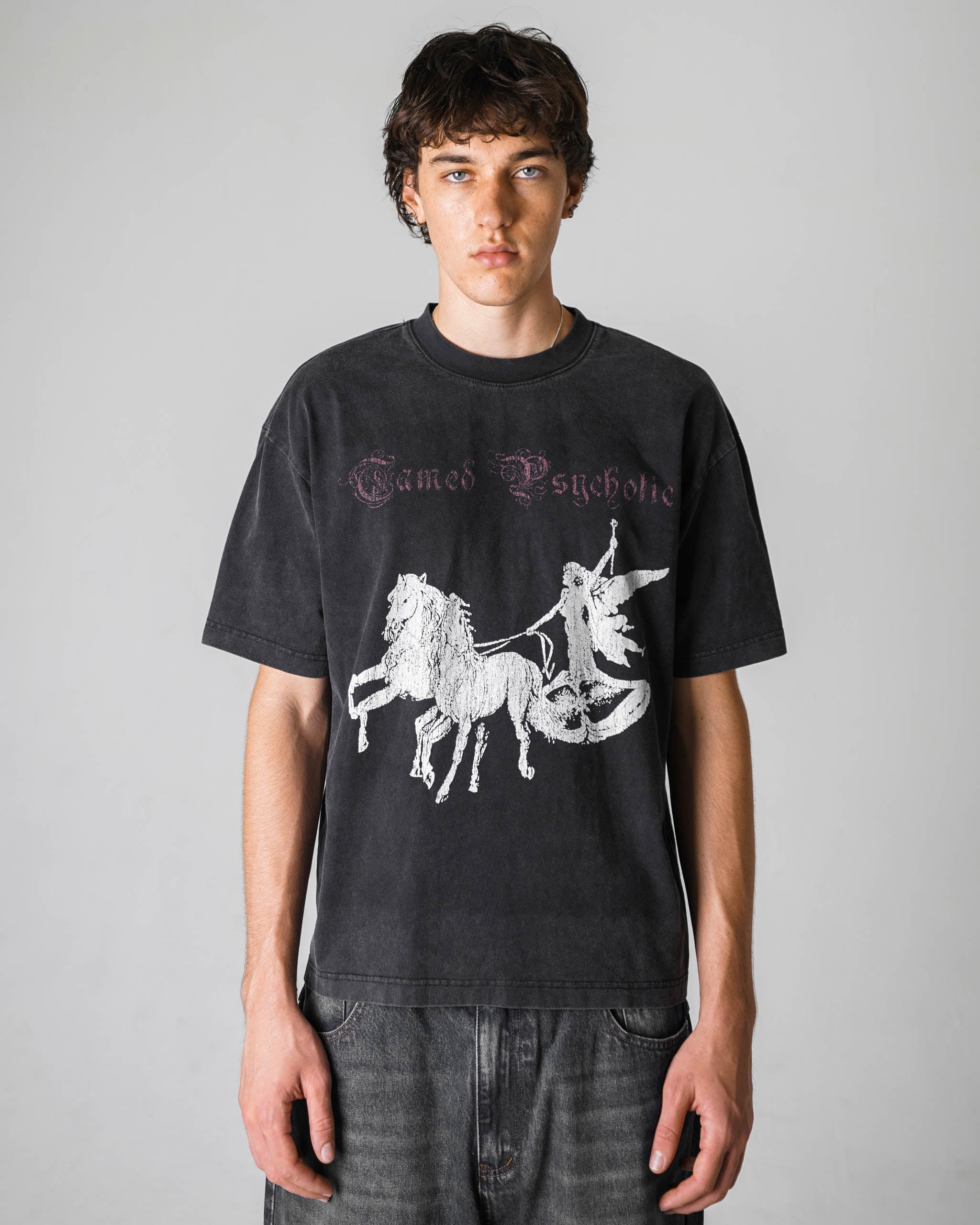 HEAVEN'S CHARIOT T