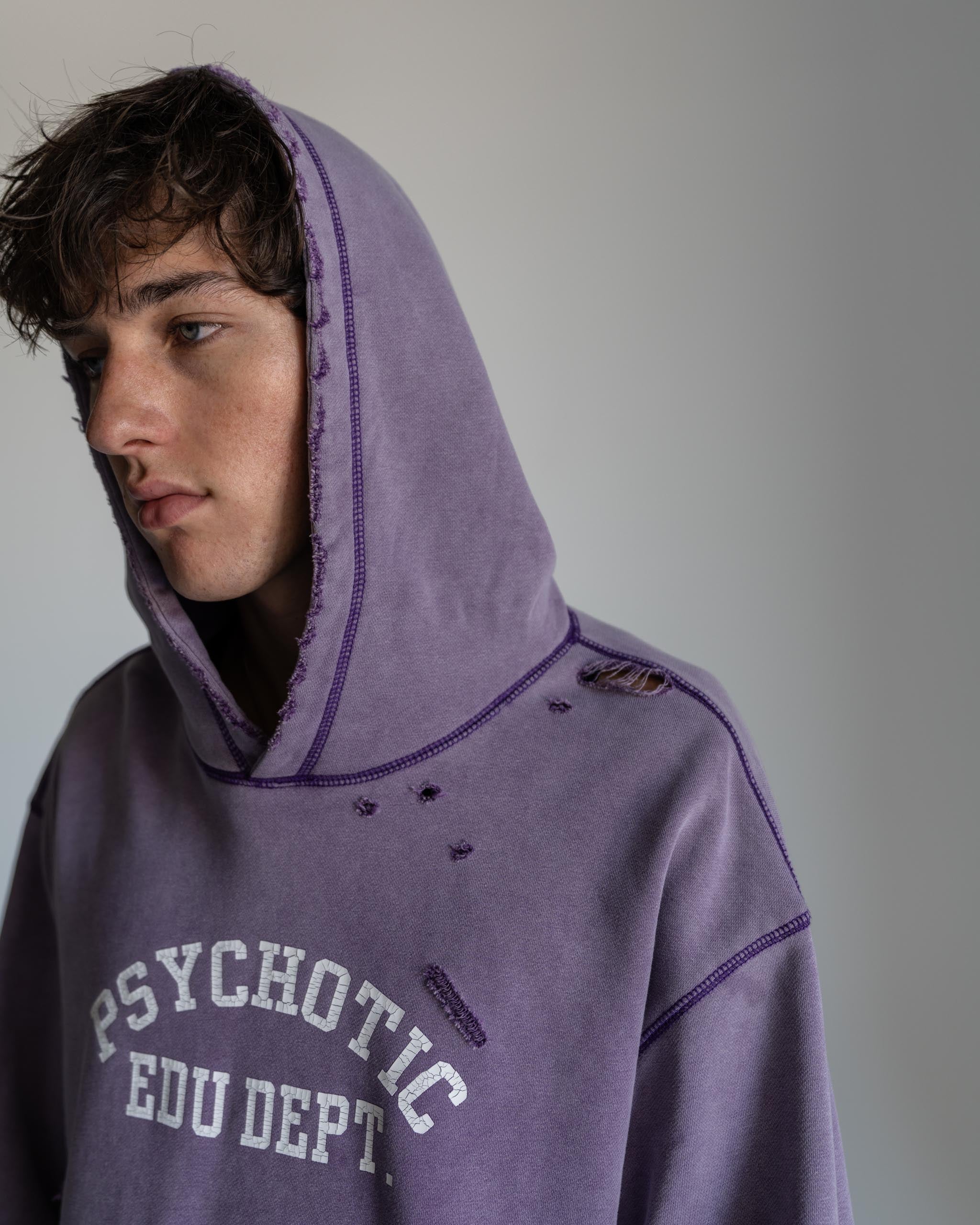 EDU ACADEMY HOODIE PURPLE