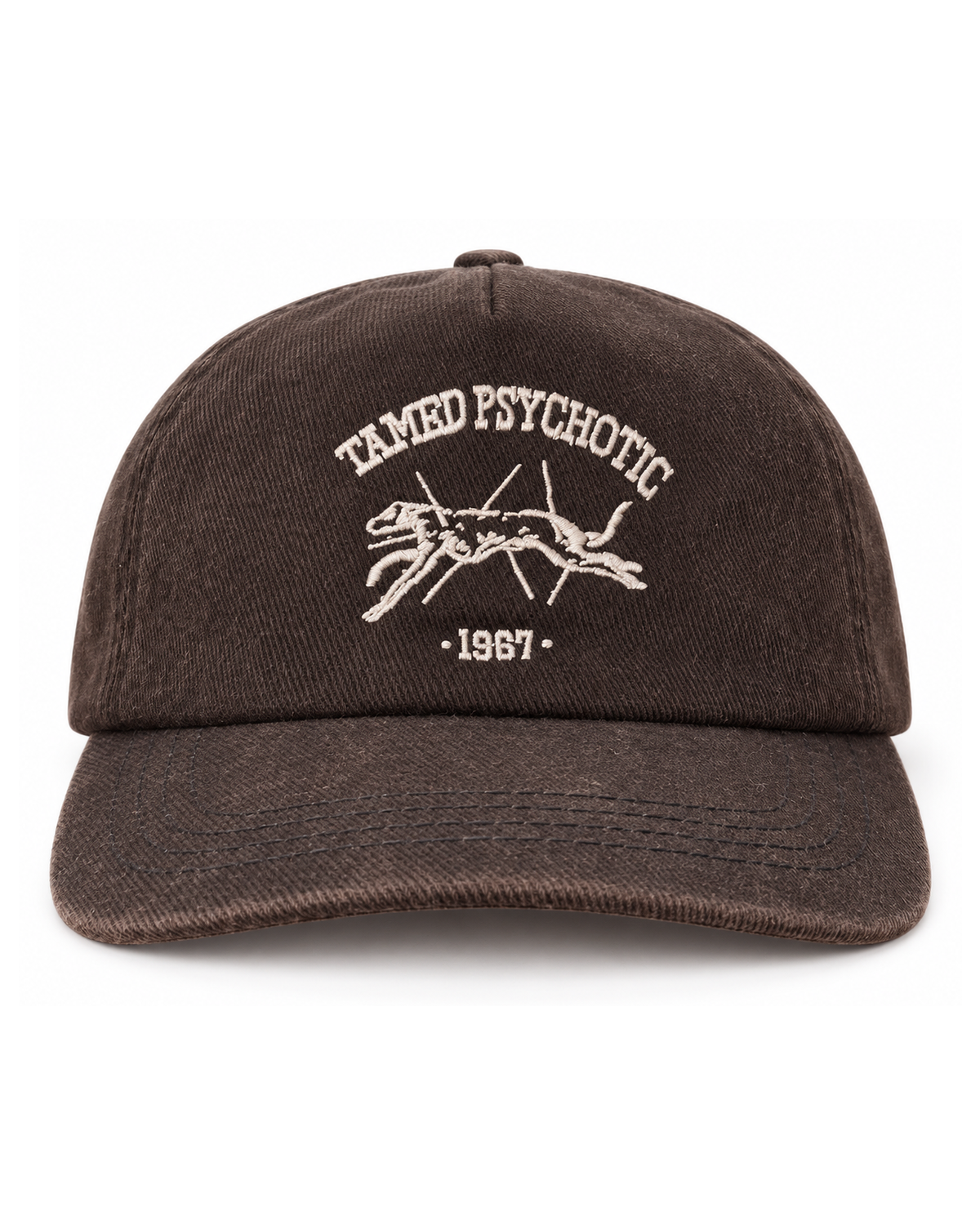 Varsity Logo Hat